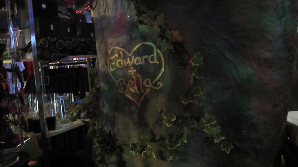 Twilight in Forks, WA • Mellzah