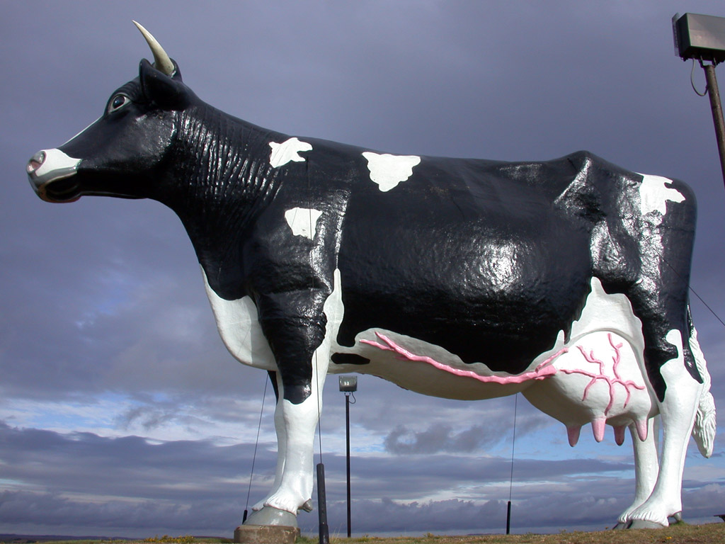 Spotted on the Roadside Salem Sue, World's Largest Holstein Cow • Mellzah