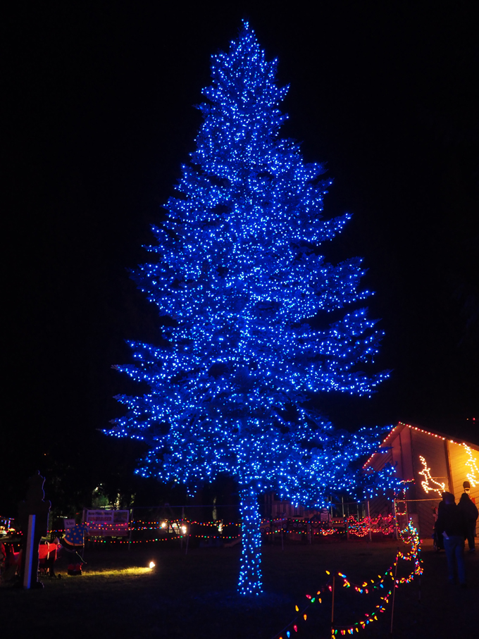 the lights of christmas in warm beach wa mellzah the lights of christmas in warm beach wa mellzah