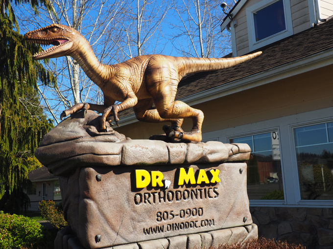 Dr Max