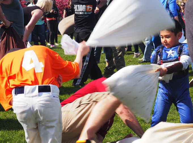 The Battle In Seattle Pillow Fight Edition Mellzah