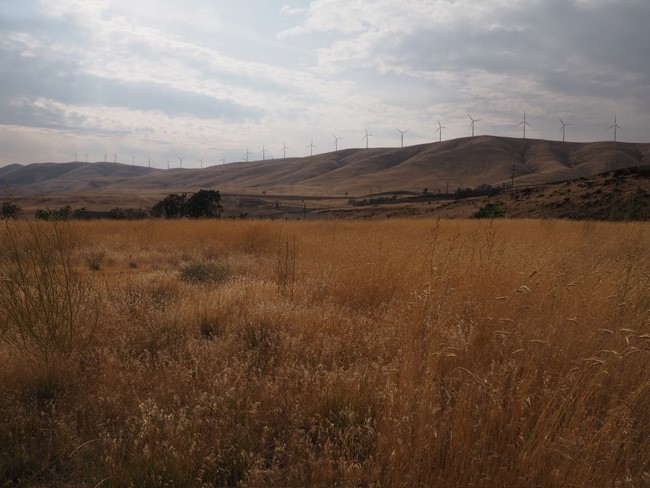 golden grass wind farm