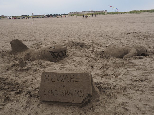 beware of sand sharks