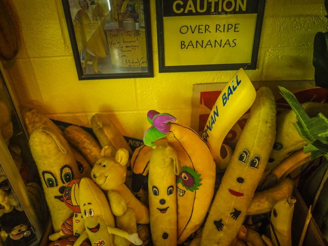 banana museum (18 of 41)