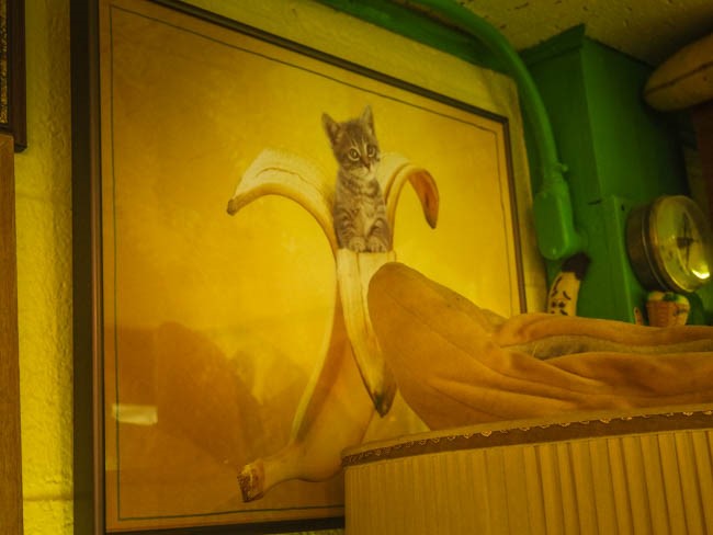 banana museum (29 of 41)