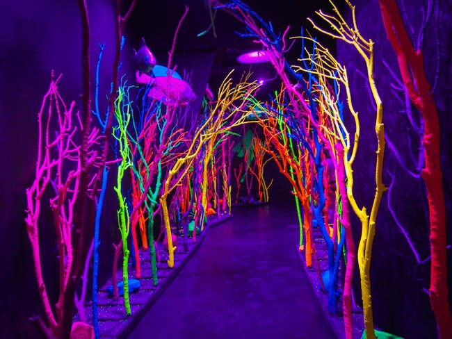 meow wolf (55 of 129)