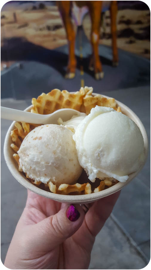 Lick Honest Ice Cream in Austin, TX • Mellzah