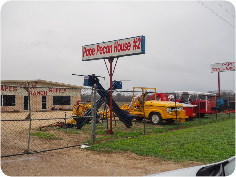 Going Nutty for The World’s Largest Pecan(s) in Texas Mellzah