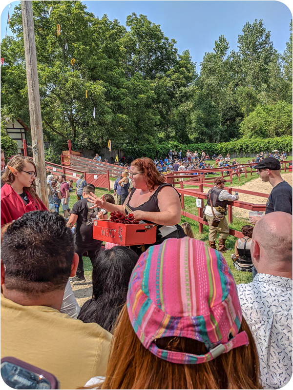 The Bristol Renaissance Faire in Kenosha, Wisconsin • Mellzah